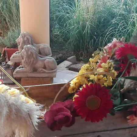 L'abaco Dei Ricordi Bed & Breakfast *