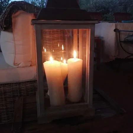 Bed & Breakfast L'abaco Dei Ricordi